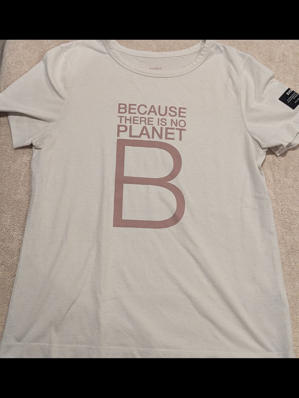 Because There Is No Planet B Graphic Tee - Beige with Dusty Rose Print $18